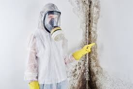 Best Asbestos and Lead Testing During Mold Inspection  in Pepperdine University, CA